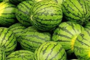 吃瓜网每日大赛往期内容