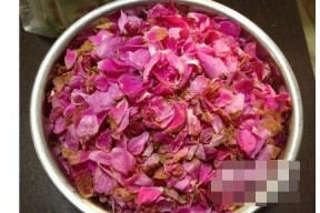 娱乐吃瓜酱带刺的玫瑰,揭秘带刺玫瑰背后的故事