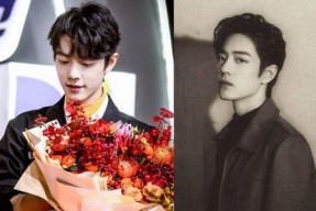 吃瓜群众退出娱乐圈视频,吃瓜群众见证退出潮