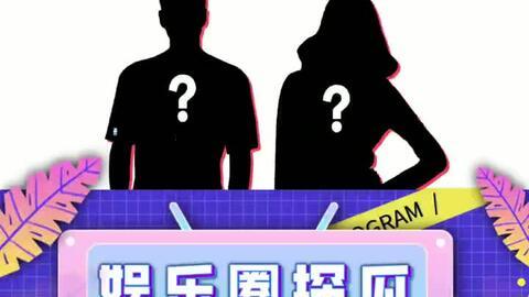 吃瓜娱乐模板,揭秘明星们的“瓜田”奇遇记